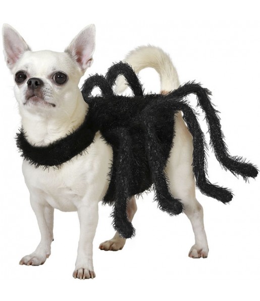 Disfraz de Araña para perro