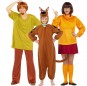 Disfraces Shaggy, Vilma y Scooby-Doo para grupos y familias